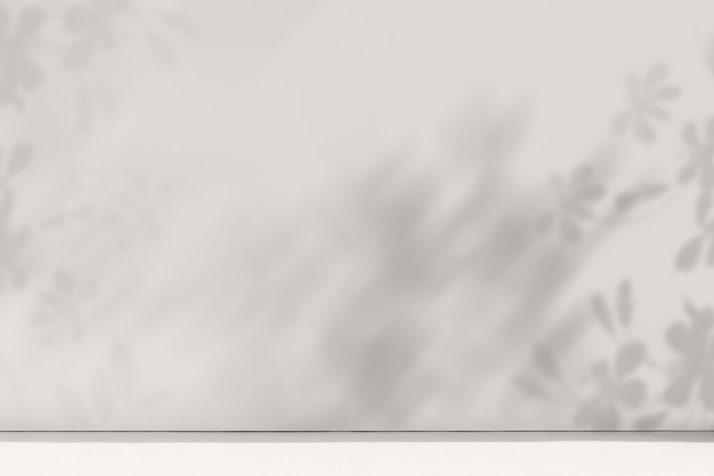 Product backdrop with empty white room and flowers shadow